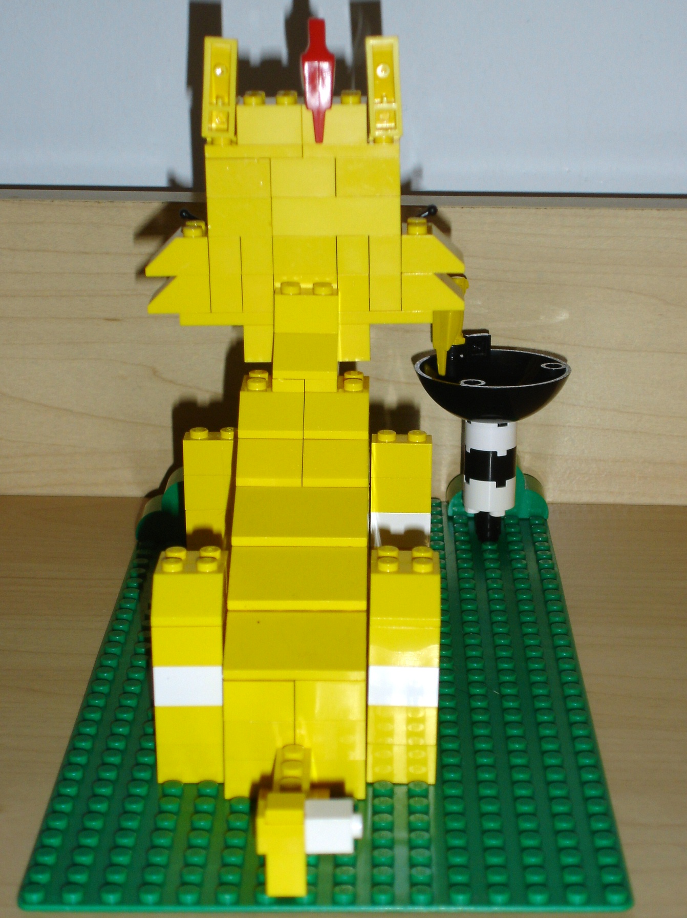 yellow_cat_rear.jpg