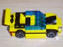 yellow_racer_eagle_eye.jpg