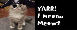 piratecat.png