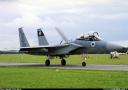 f-15d_eagle_133_sqdn_733.jpg