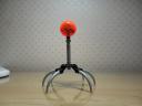 Bacteriophage