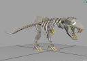 t-rex_01.jpg
