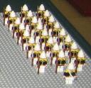 imperial_guard.jpg