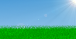 chanegrass.png
