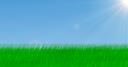 chanegrass.png