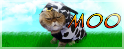 cowbanner.png