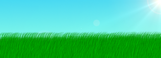 outsidebackzero.png