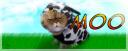 cowbanner.png