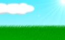 zealograss.png