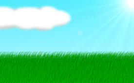 zealograss.png