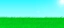 newgrass.png