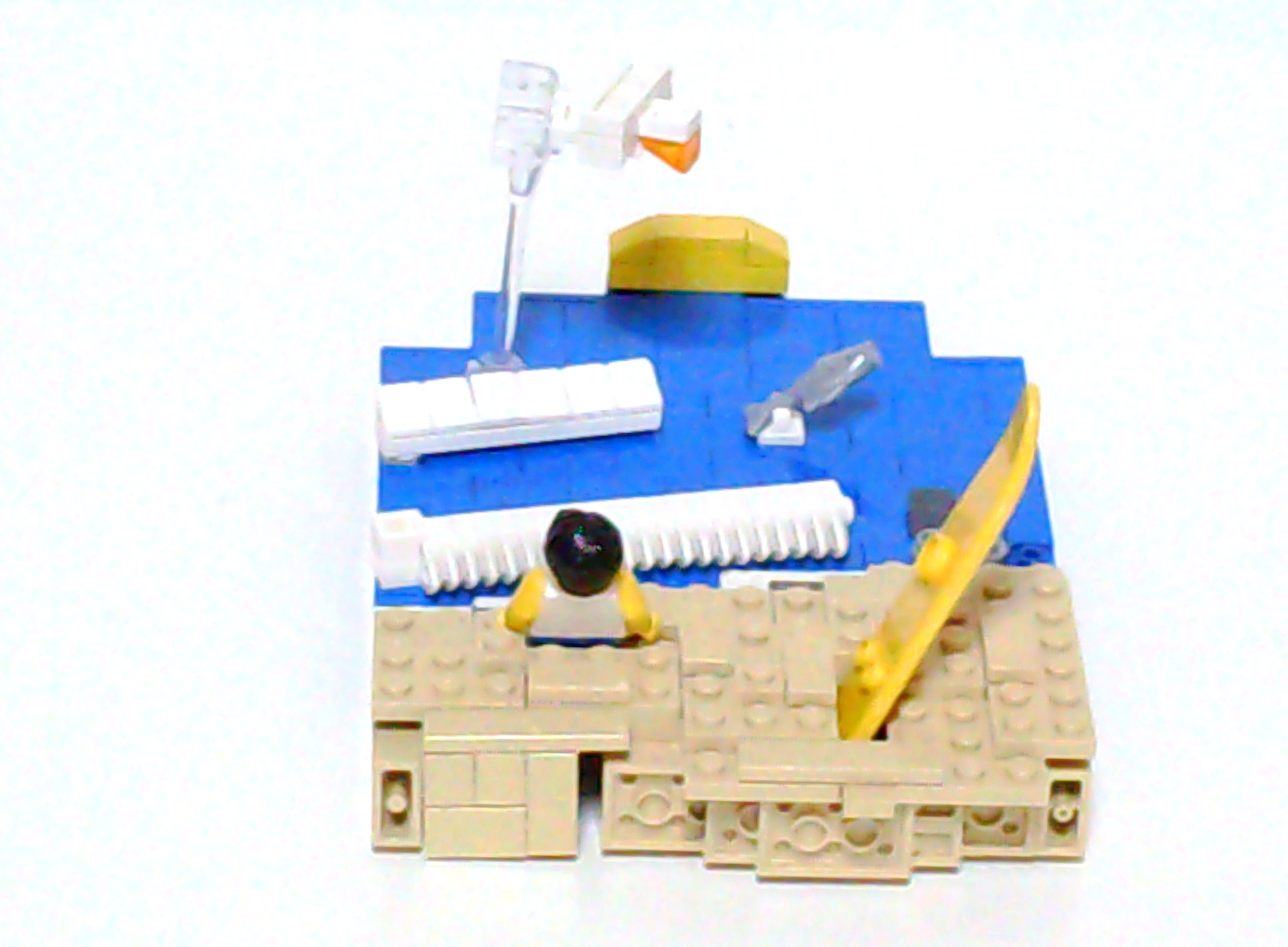 dsc01989.jpg