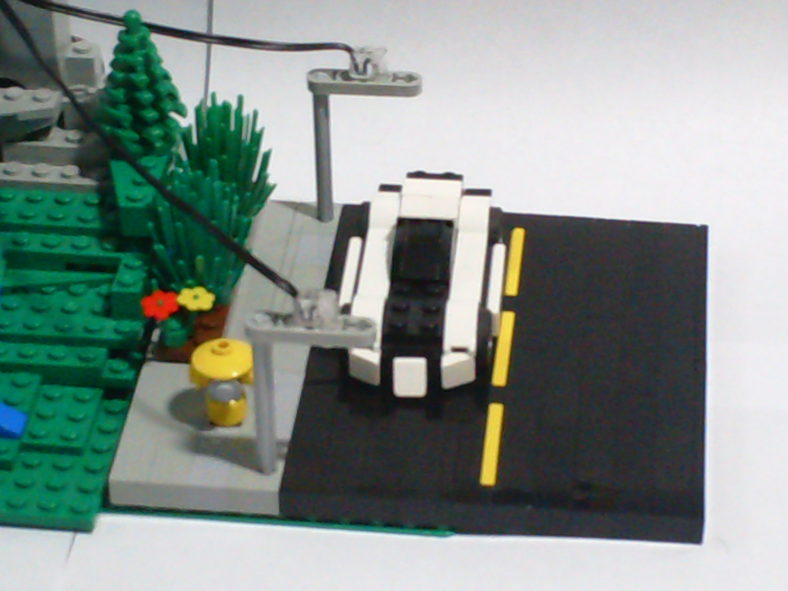 dsc01570.jpg