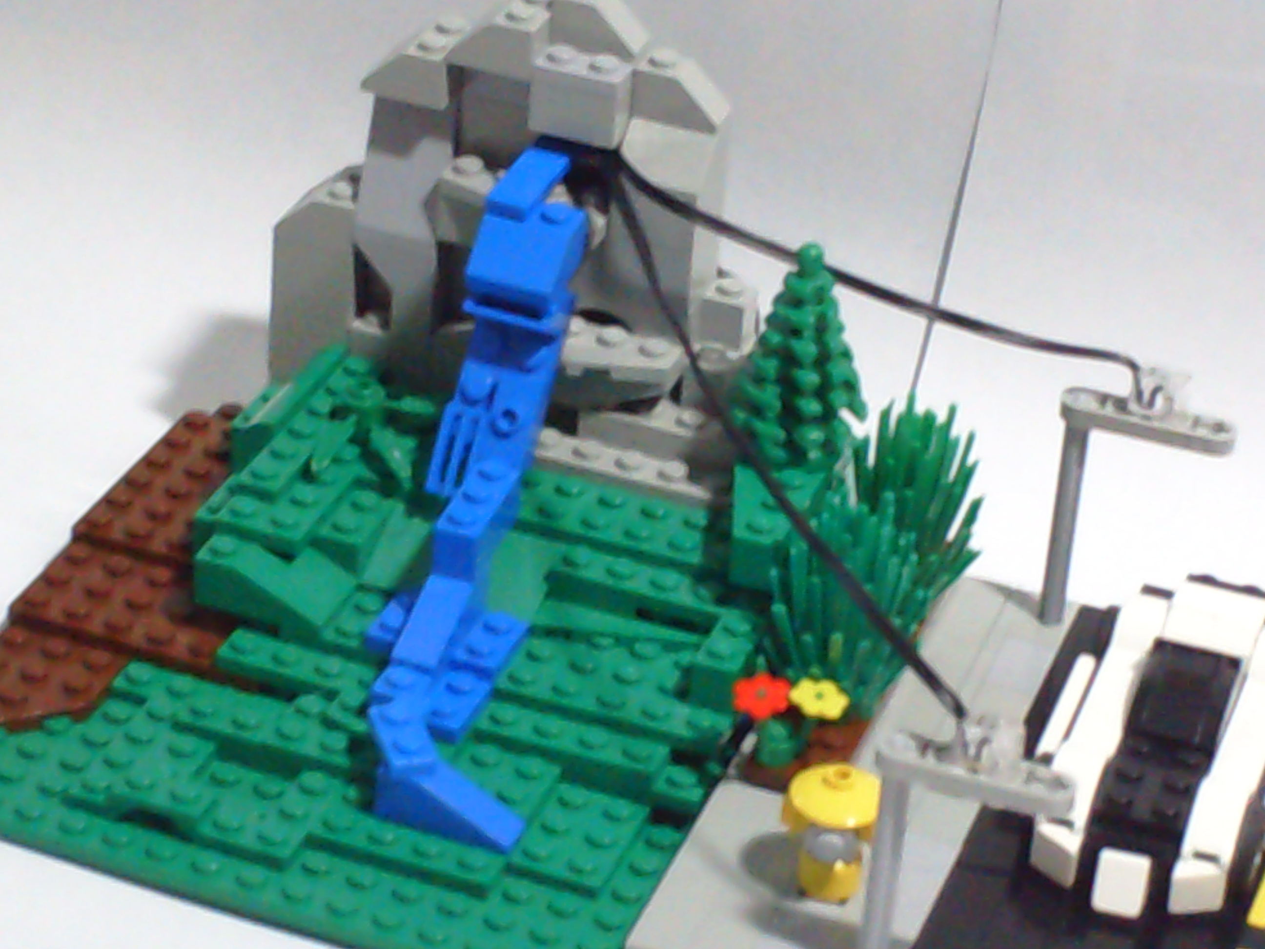 dsc01573.jpg