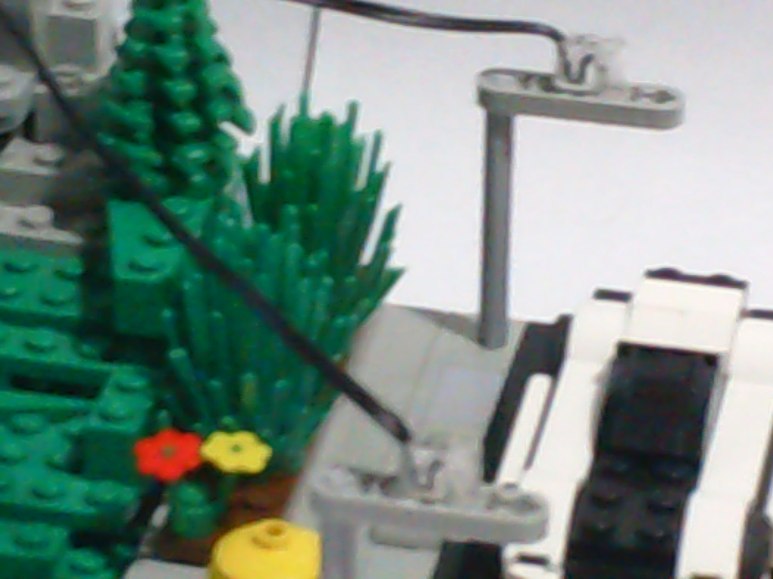 dsc01574.jpg