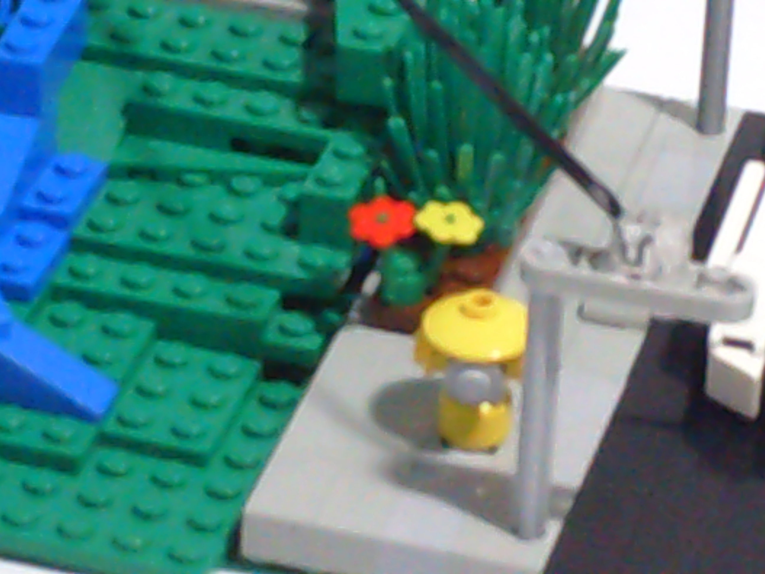 dsc01575.jpg
