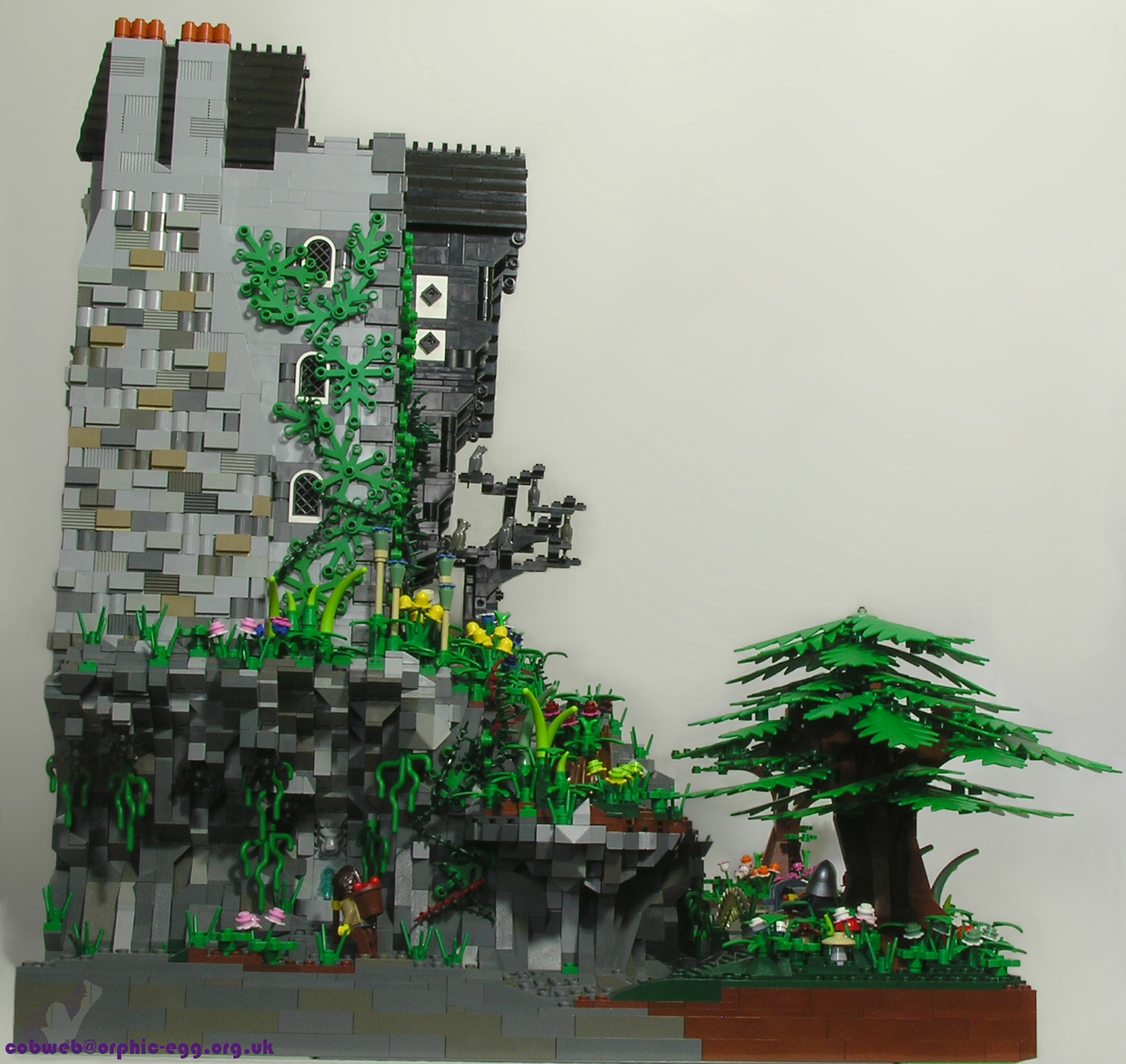 003.jpg