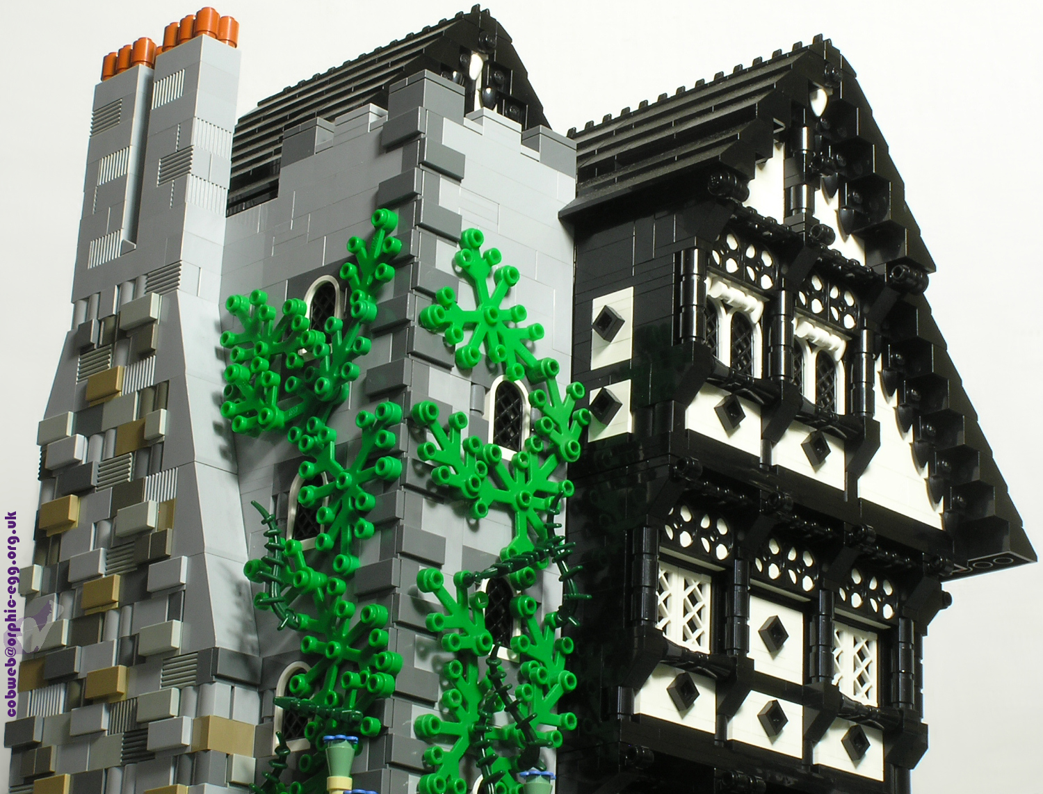 008.jpg