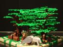dsc07394.jpg