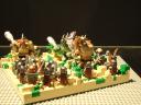 dsc07404.jpg
