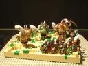 dsc07405.jpg