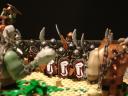 dsc07407.jpg
