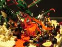 dsc07415.jpg