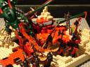 dsc07420.jpg