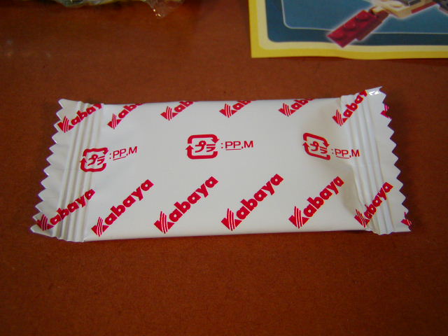 kabaya-dinosaur009.jpg