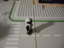 dsc07550.jpg