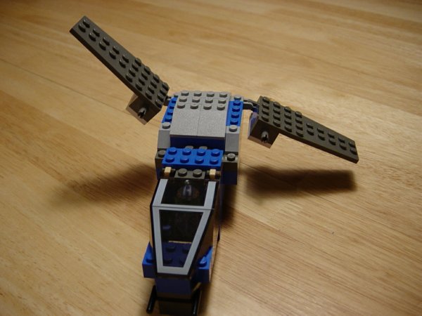 wingsfolding.jpg