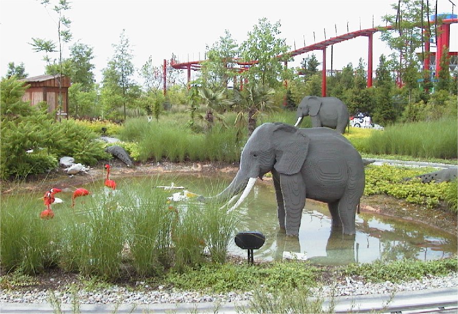 animal1006.jpg