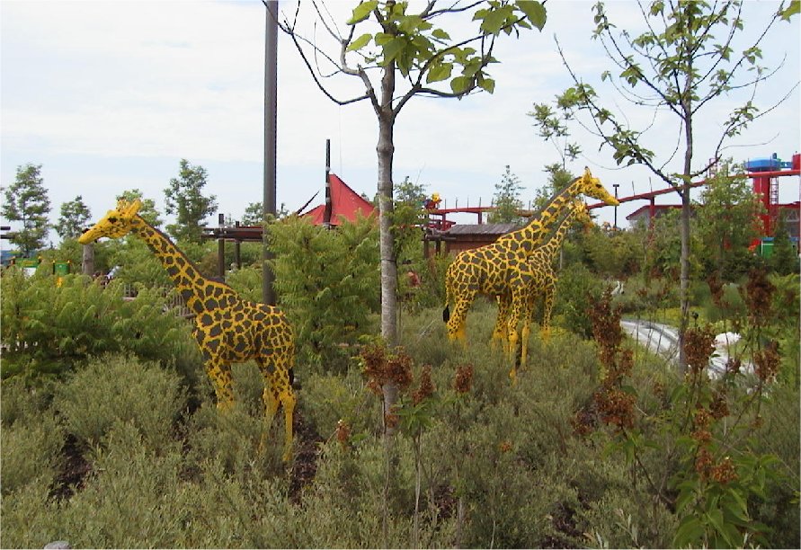 animal1007.jpg