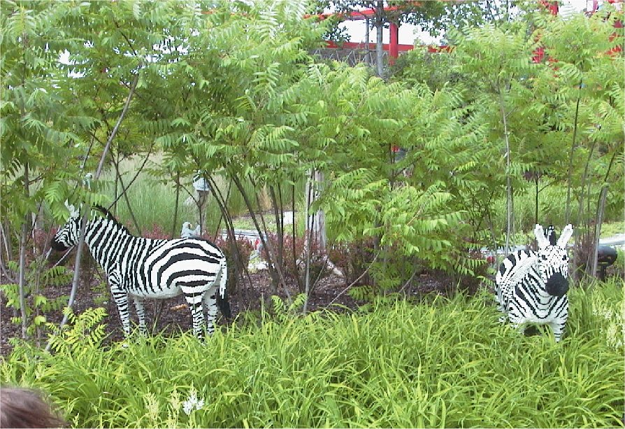 animal1008.jpg