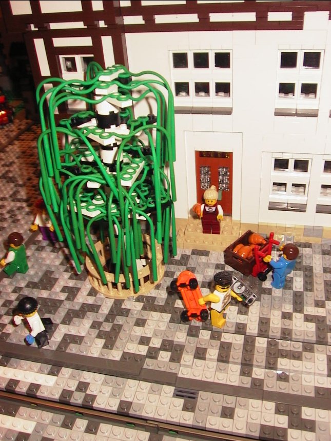 6e.jpg