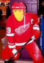 NHLplayerDisplay