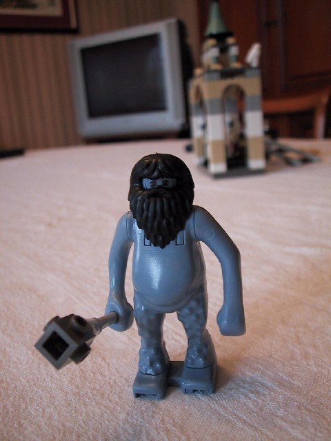 harry9.jpg
