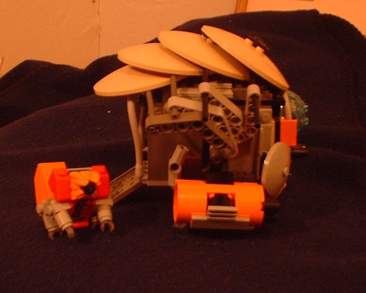carapace02.jpg