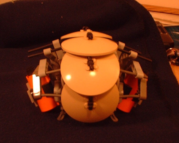 carapace03.jpg