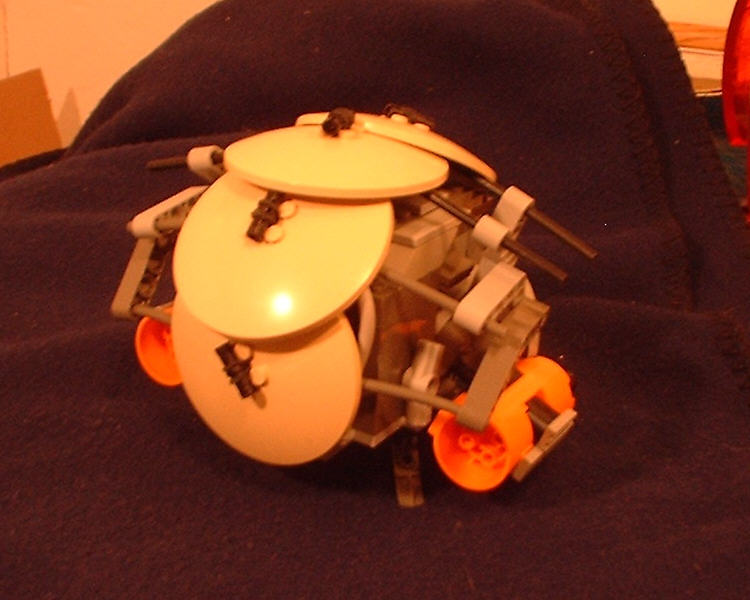 carapace04.jpg