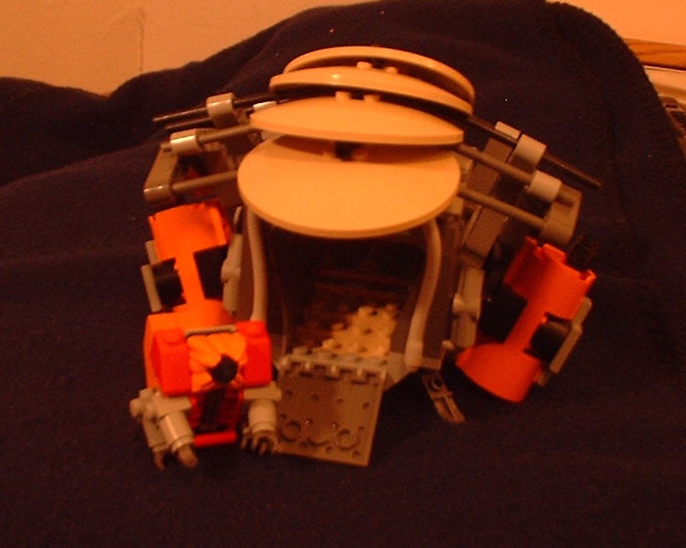 carapace06.jpg