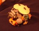 Carapace