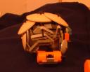 carapace01.jpg