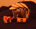carapace02.jpg