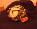 carapace05.jpg