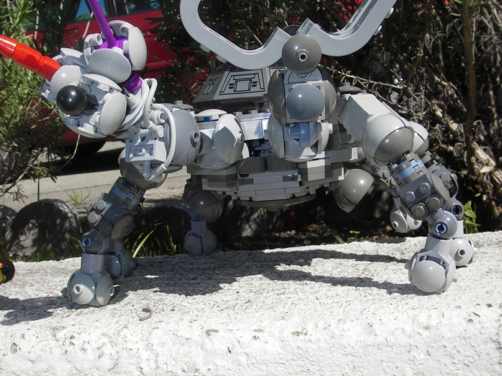 imgp0410.jpg