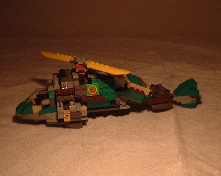 frogchopper02.jpg