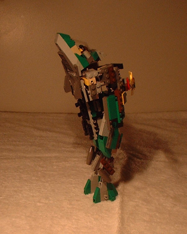 frogchopper03.jpg