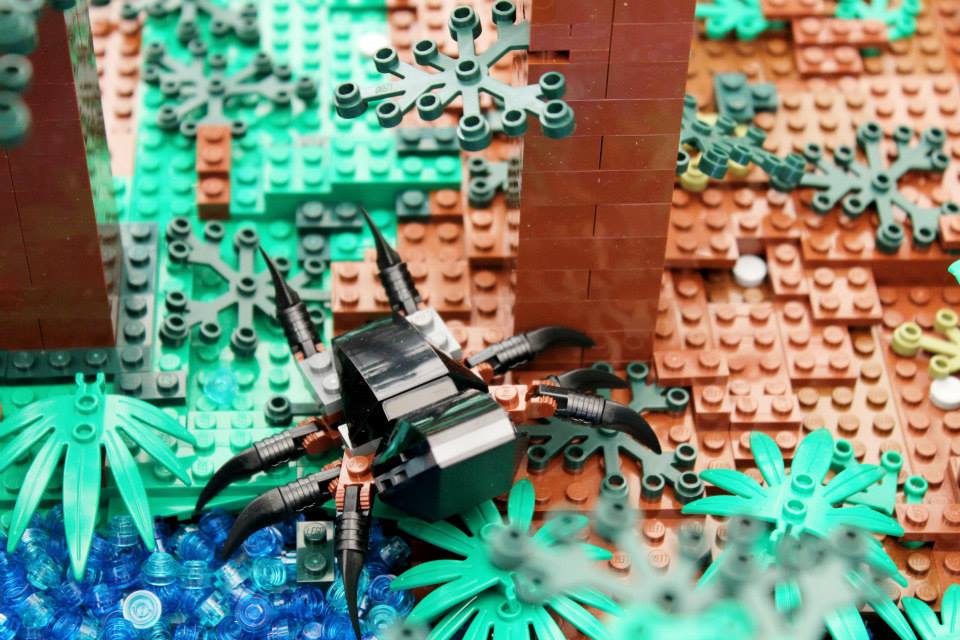 1174645_10200716714460081_1042191482_n.jpg