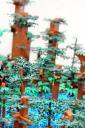 536832_10200716699219700_148670361_n.jpg